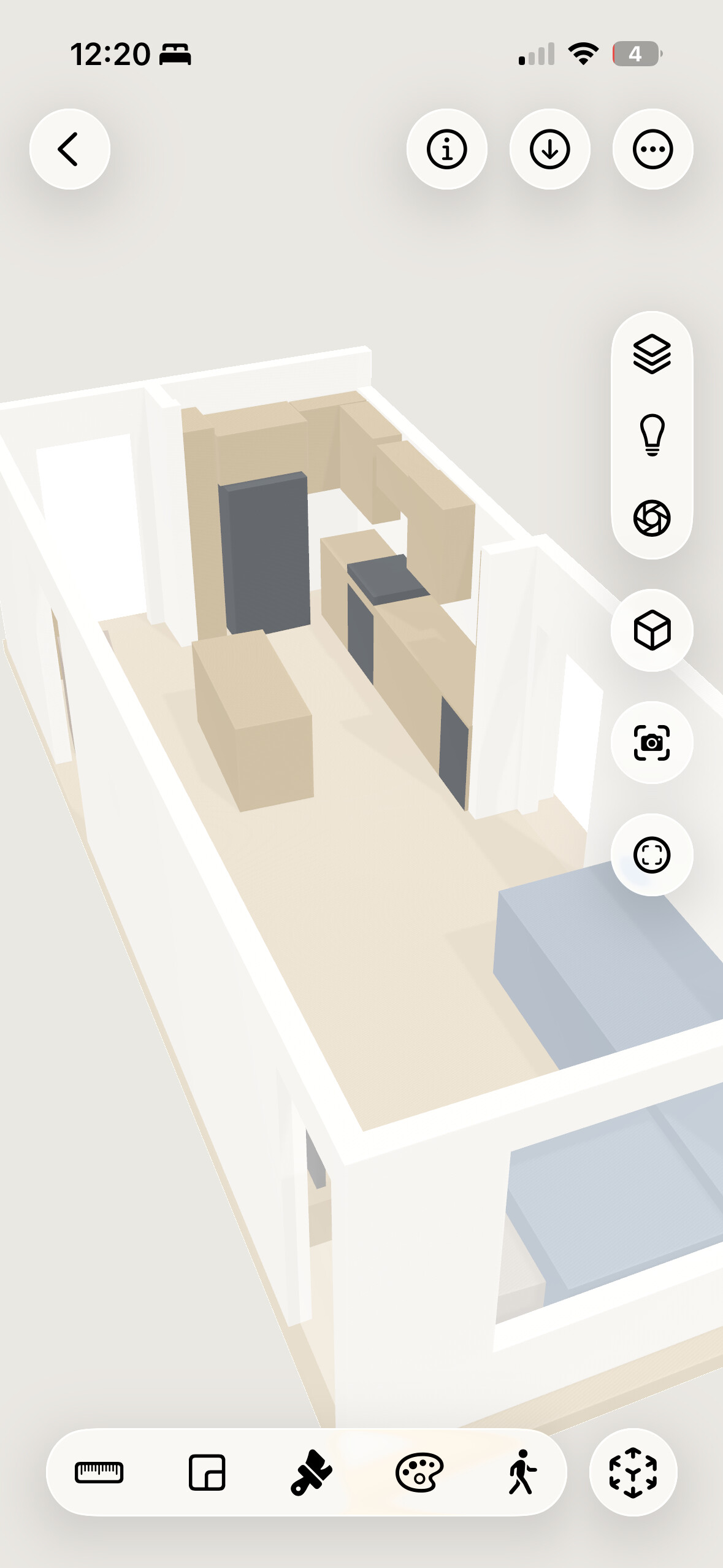 Capture & Visualize.